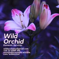 Wild Orchid image 1